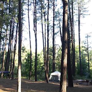 The spot we chose was on the bend of the loop, which allowed us to have plenty of space to spread out and enjoy the forest. Loved it! Photo taken with iPhone 6.