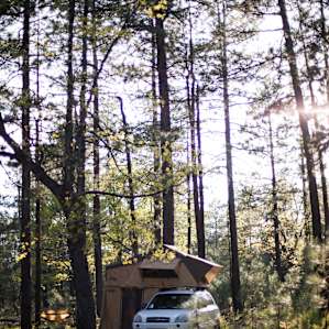 Beautiful Mogollon Rim camping area!