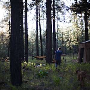 Beautiful Mogollon Rim camping area!