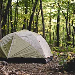 Tented closer to the main camp area.