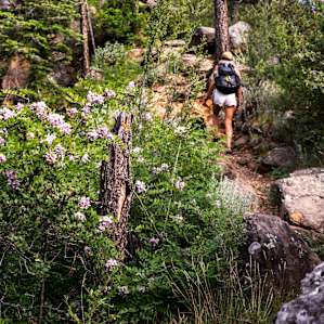 Cookstove Trail
