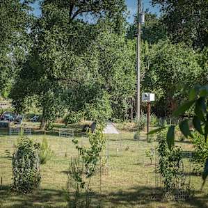 View of the campsite from the porch
