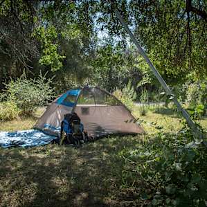 Best spot to put your tent is under the walnut tree so you wake up in the shade!
