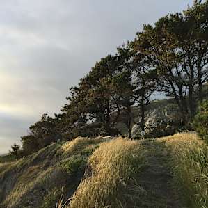 Steps from my campsite