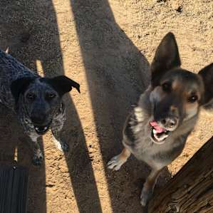 Our camping hosts, Jill and Gypsy. They made our stay that much more enjoyable.