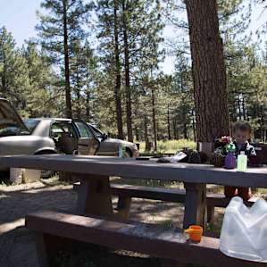 Table, food storage locker, and fire ring at each site.