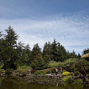 Flower garden, north of campground.