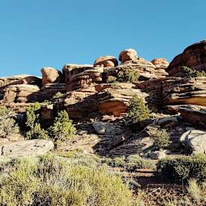 Squaw Flat Campground