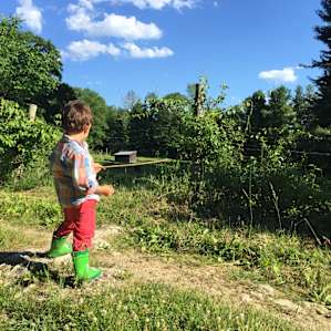 The farm views
