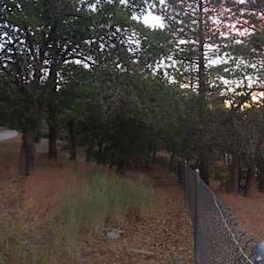 campground 11