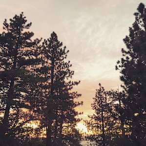 campground 11