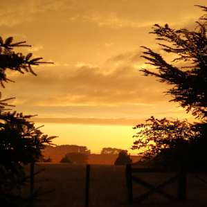 Sunsets were remarkable - this is looking toward the pasture that abuts the campsite.