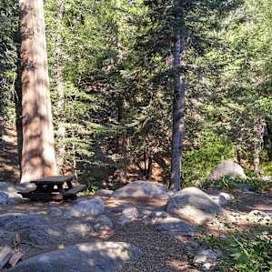 site#2- Pleasantly surprised by the beauty of this site. 5 miles below looks like high desert, but buckhorn is lush. Giant ponderosa pines, wildlife. It's 7k feet but feels higher.