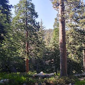 About half the sites have some shade, others are in full sun. Best are above the day use area. #1, #2 were great. The sites below the restrooms were good. Some sites were great for 203 tents, some were perfect for 1.