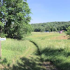 A 360 degree panorama of the site.