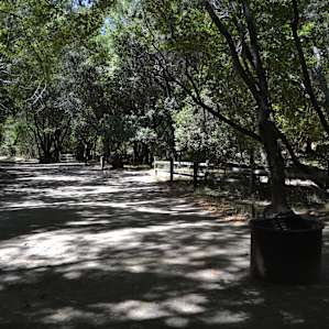 Back Ranch Meadows Campground