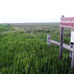 Sign in the Fort Pierre National Grasslands. Though it's "first come, first serve" dispersed camping, chances are you won't see another human.