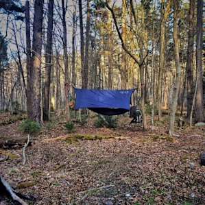Great for hammock camping.
