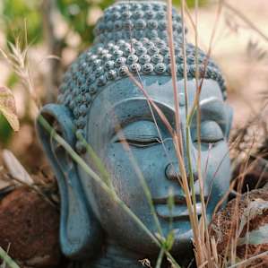 Buddha head watches over the garden. And gives peace!