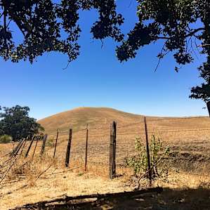 Rolling Hills