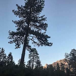 overlooking Tahquitz Rock (Lily Rock)