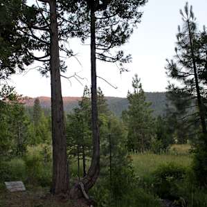This is the view from the tree house into the meadow. Walking out into the meadow was my favorite spot to watch the sunset. You can see Mt. Shasta from inside the tree house but the sky lights up beautifully from the meadow as well.