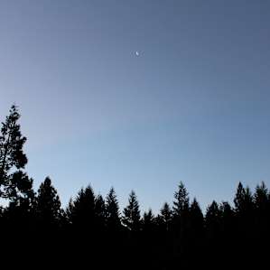Evening