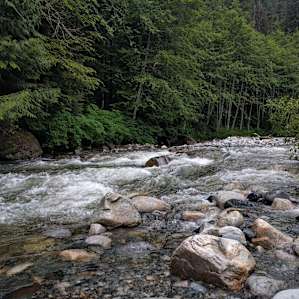 View of the river near our site