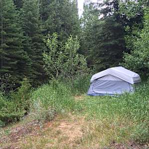 Campsite #2 tucked back into the woods, close to the creek!