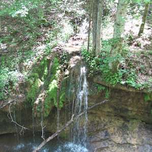 Trail 2