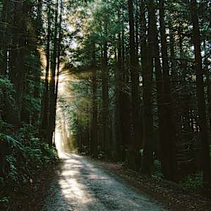 Prairie Creek Redwoods Prairie Creek Redwoods