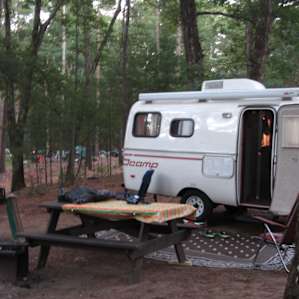 Site 81