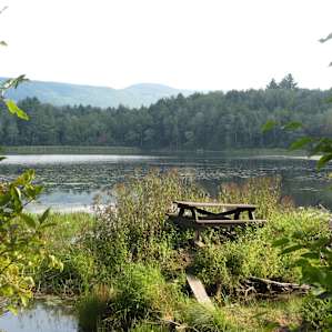 View of Mauserts Pond from the Pond Loop Trail