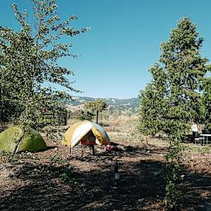 Our spot. It was windy!