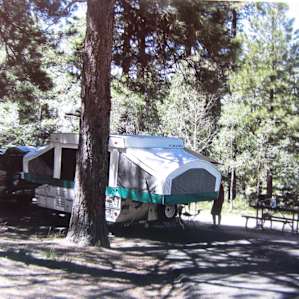 Site#9