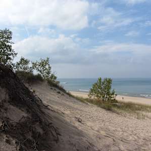 Indiana Dunes State Park