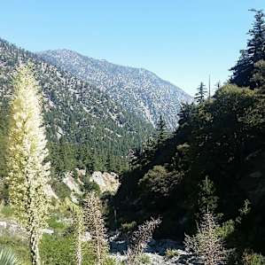 Manker Campground