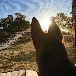 Enjoying the morning sunrise