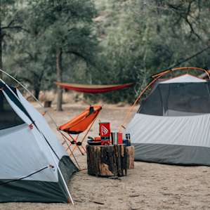 tent forest hammock