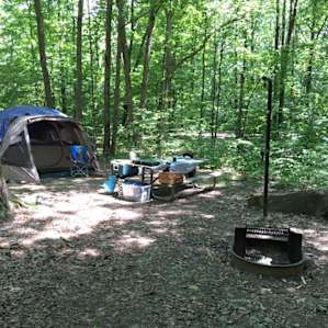 site 069 Elm- not as private as this looks-
