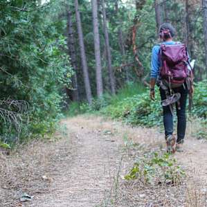 These campsites are nestled into 160 acres of beautiful nature, ripe for exploring.