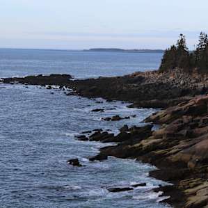 Walking distance view at Blackwoods Campground