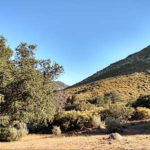 Landscape behind campsite 19