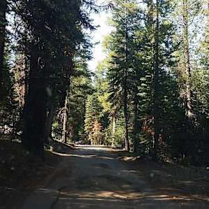 The partially paved mining road into camp. Not for RVs or lowriders.
