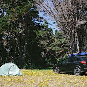 This campsite is perfect for group camping. This big open space allows at least 10 tents with the possibility to drive in. There is a giant fire pit with multiple water spigots and power outlets within this open field.