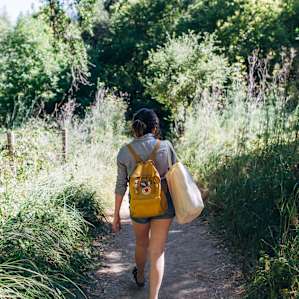 Pathway to the beach