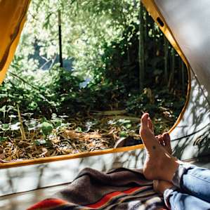tentview lodging