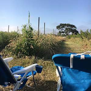 View from the berries in the morning. Recommend this option for the quiet and the stars!