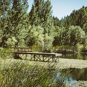Pond behind car camping spots