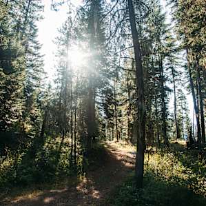 Morning at Rabbit O'brien Camp is peaceful and serene.